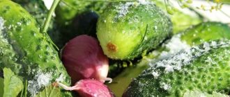 fbc87d2373e00f694b87da1cf052ddac