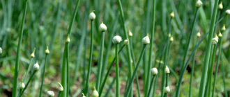 27a7e104b43879a139142e13b024e18a