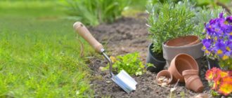 58d79ecd29e0582f1b09a9be44cb73b1