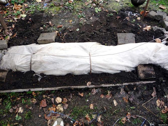 6f76dc0b1cf30a1aecb9346edbab4099