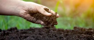 74e3e522f865197b22cc7f1e6ccce85c