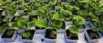 776f2c04ba2fe3e9bf7bf7e4707bd094