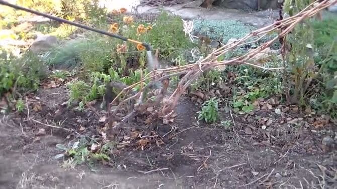 893676eac50811fbb18beed0cf146012