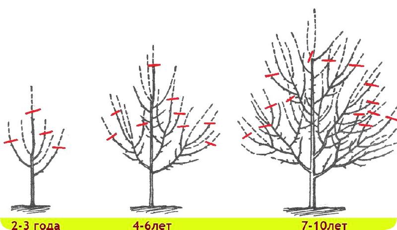 9ac1e5190fe63214a6c85c7674f8c5c4