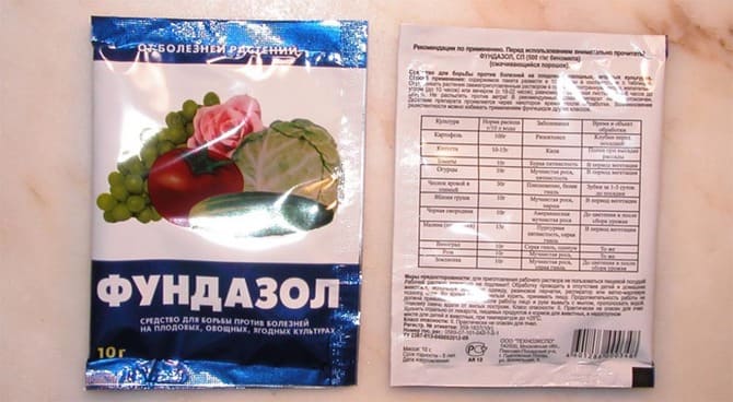 9ad593c6c8384417be307c9dca8365c4