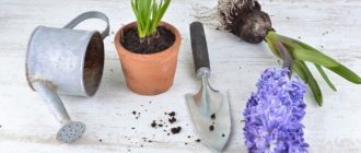 a51355622a43f18b82fe1f1bd66498c3