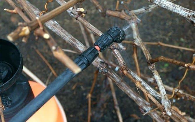 c5f9dfe0d52bc969fd17fff39bf37bc4