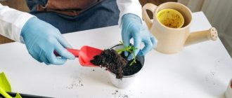 c770b146a8412e3c685daf785b5fc029