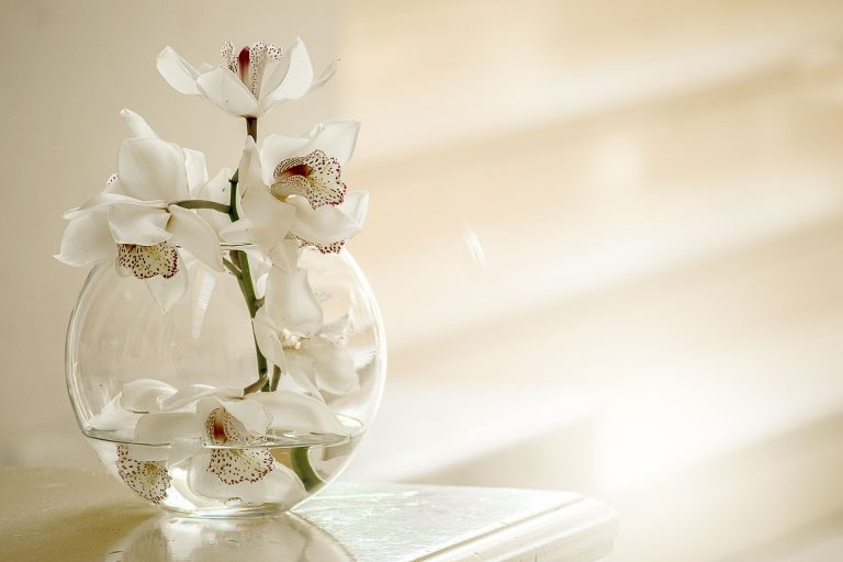Як змусити орхідею цвісти в домашніх умовах 33 orhideya ne tsvite
