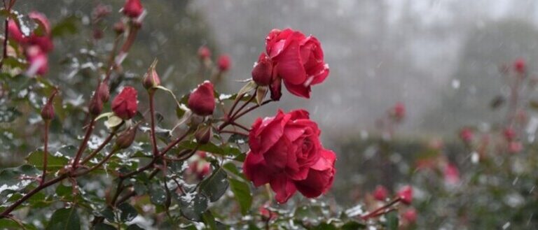 83f1d4fe1d279a2821ef52f97003fb32