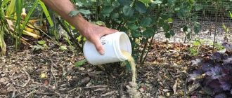 9091c9bbb956611a5d31c73503b75594