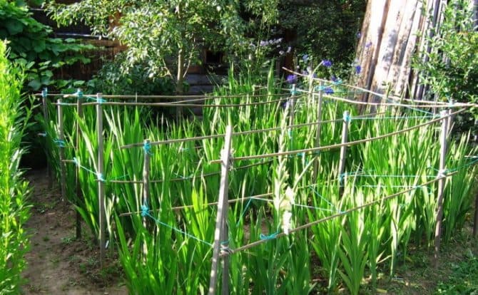 a23f52e09f8bb4b31457a0921f5d0eea