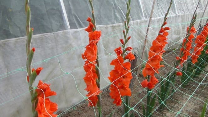 be5fe1763c46bf85b25685c33dbb4830