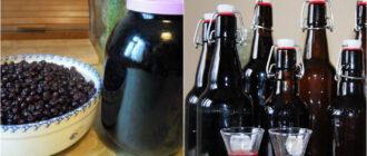 nastoyanka z chornoi smorodyny