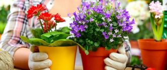 08a1b5dfa7ccd95d560665282f952656