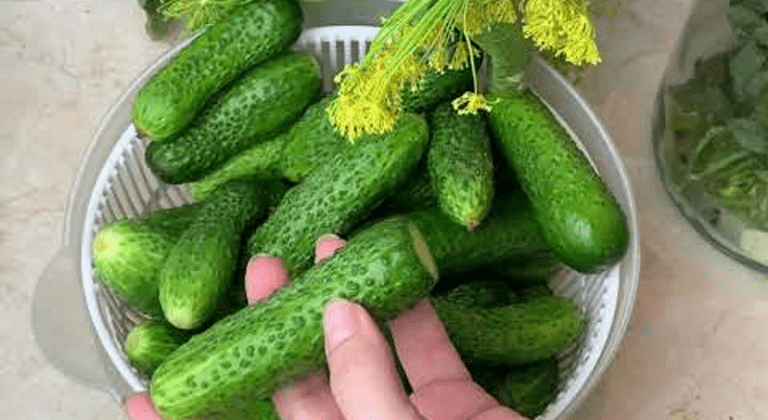 🥒 Ось так треба робити малосольні Огірки. Найправильніший спосіб. Бабуся навчила готувати Так! 18 1 1