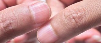 19e33a7ae2eb900f6f71a9d653497da9