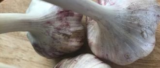 a6a287805615c81e9ad21484e16fd7fb