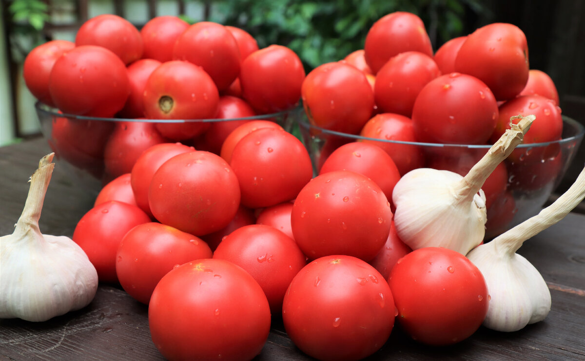 5fe6ffac45f2427bbc6bc146e9b74bdb