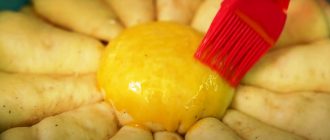 8d9f2d1ad93e6a972475f9d4fa869944