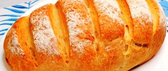 fc61c8d059610bfacf8a1472913b1408