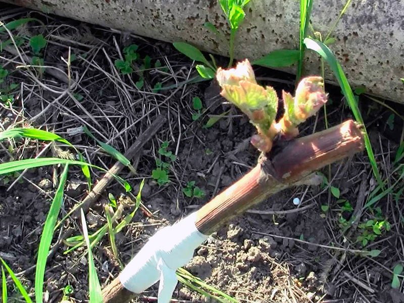 09eb6e1a8d575e72c97279be14b1c216