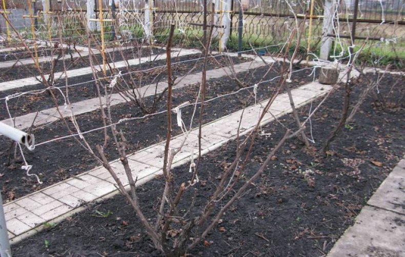 24fea250b73d11431d35797705352aeb