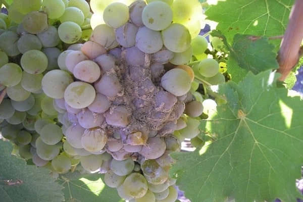 48b7262d39c973762530ecd651024cdb