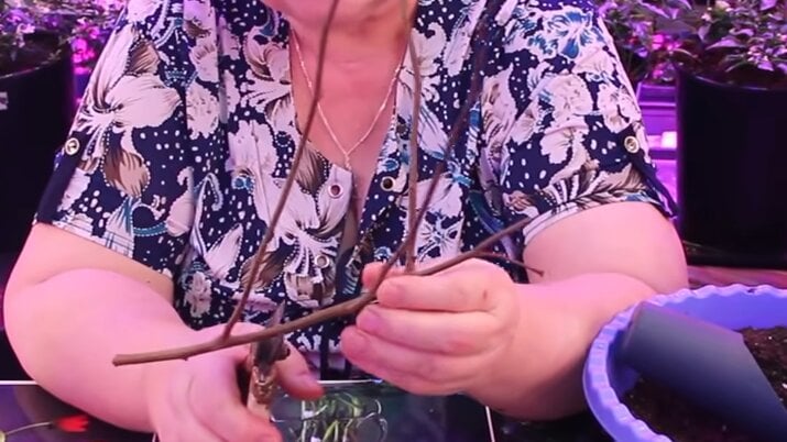 49bb64a432dd2aad1ee1799fc7c96c01