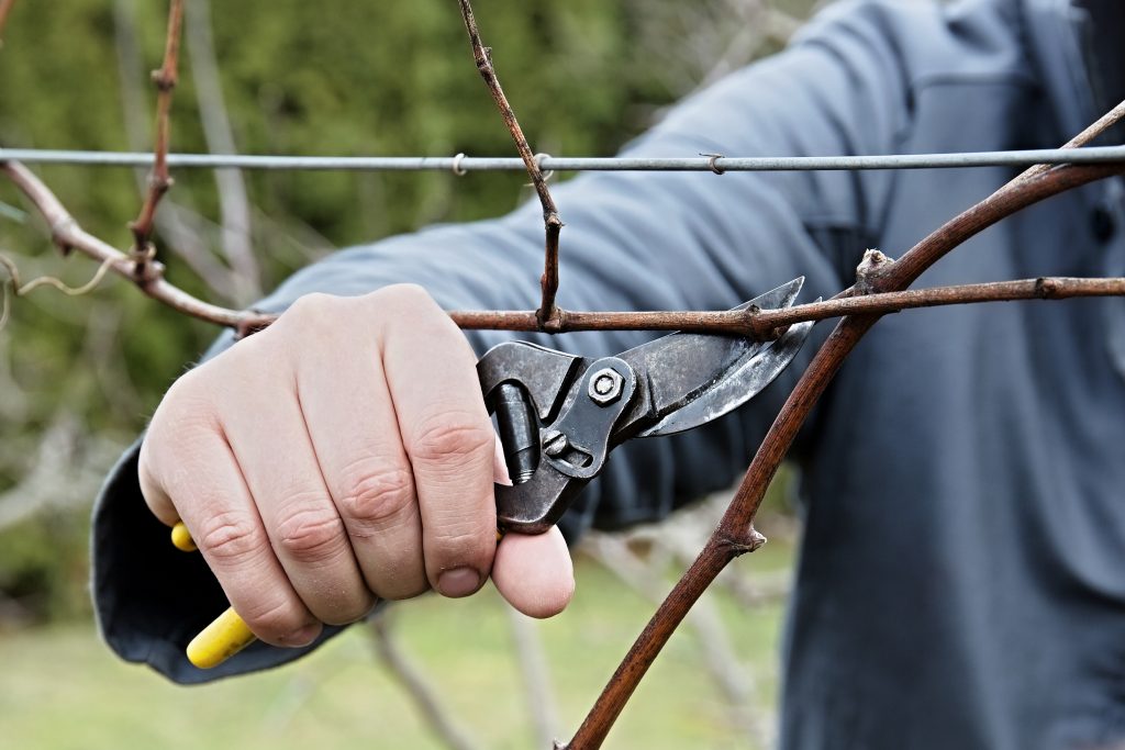 522a0072e81ba8bc4ba88b32e40fd1fd