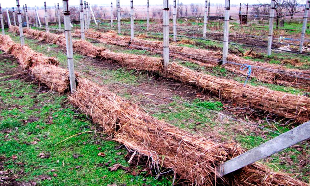 5b0ecff98a132b2d59a68e8008673d7a