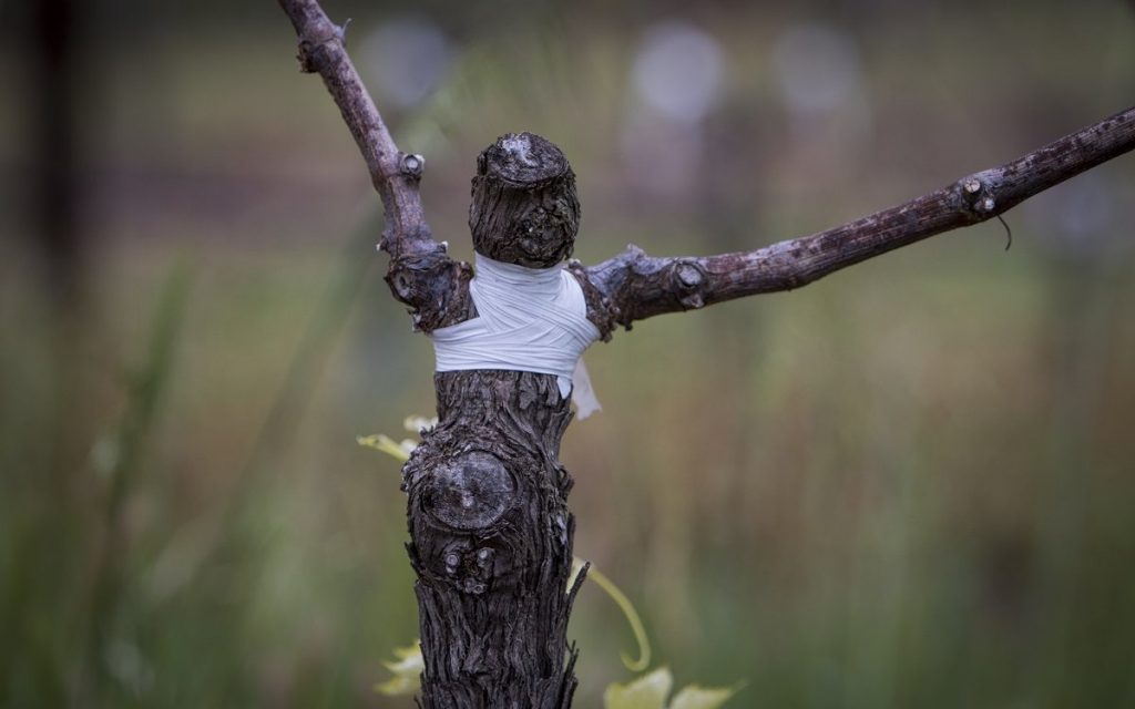 6833b166e6f63e6c9e61479ecc0f6e37