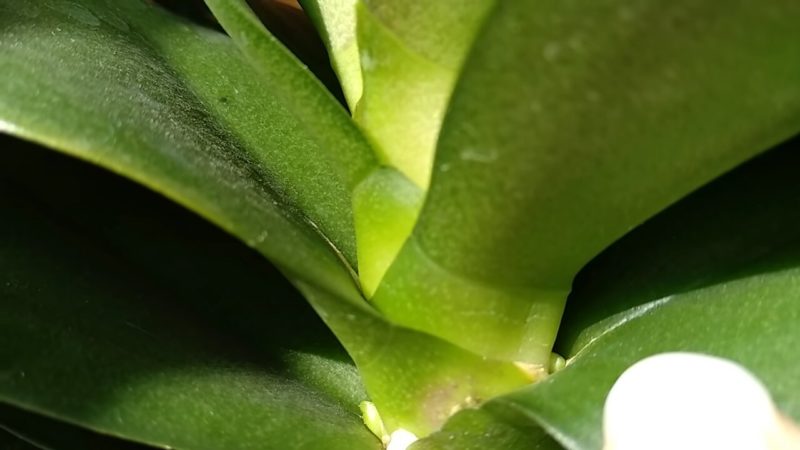 7e88331d09f5e9869815deb298586986