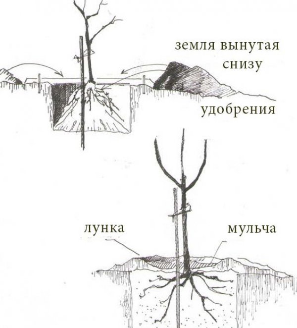 a25bb9590f736cf995dc543d7ee90760