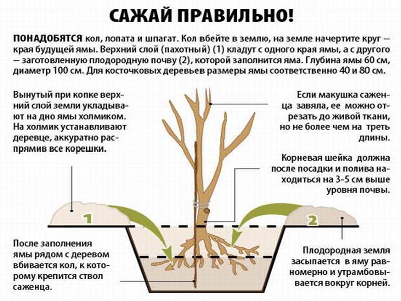 a57b4c5e995a7bc59ec9fdea2657efbd