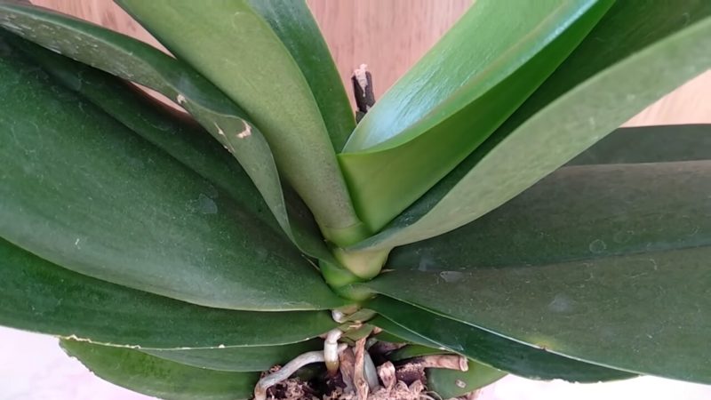 bc99e33f8c0e92ea28da8f19d6c9cde3