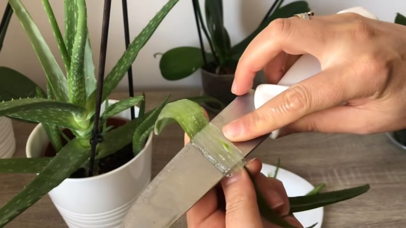 c57a55b662ff55d2273dba32e2fcca4d