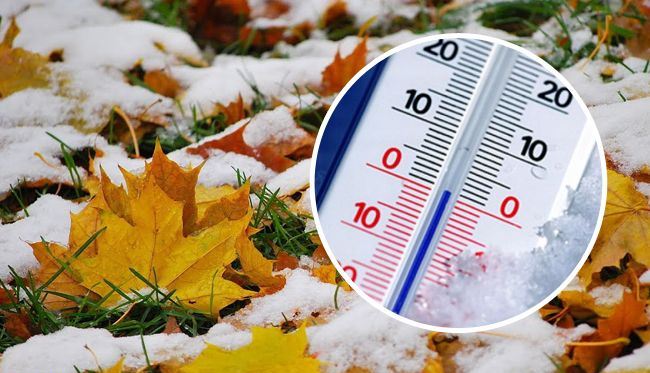 cec278f2efd4e9299ac01ee05197bc5a