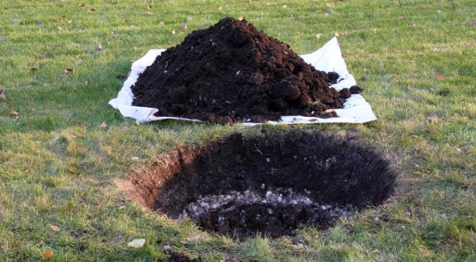 d40d2ea2e484b5b5ae25d5adcf575ca1