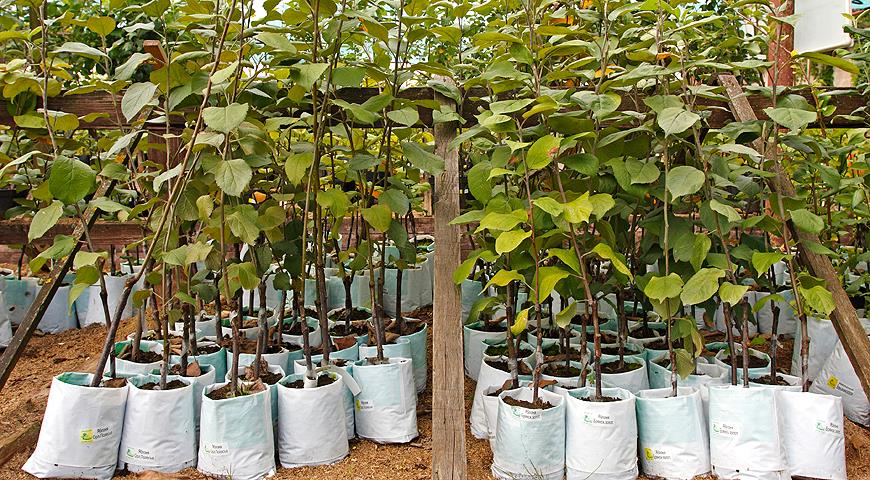 dce47f209468a8b4e00d2564f2e47830