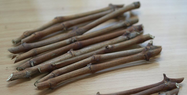 e694fb392ab3810884e72666dd0605d8