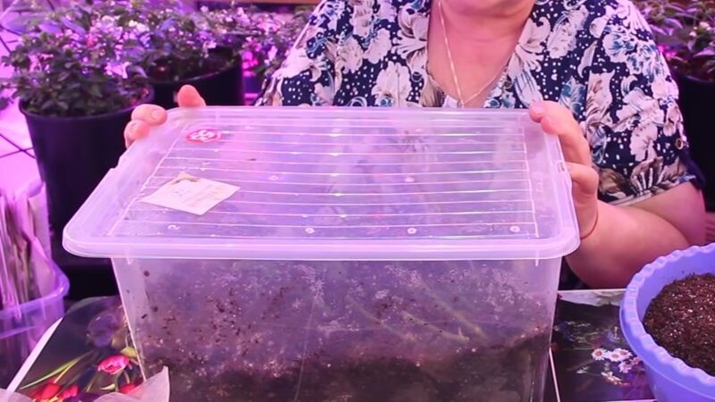 ef196339101504aba1798e5734a6062b