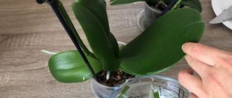 f6cb8882fc40df7e5355e7c2a05ee686