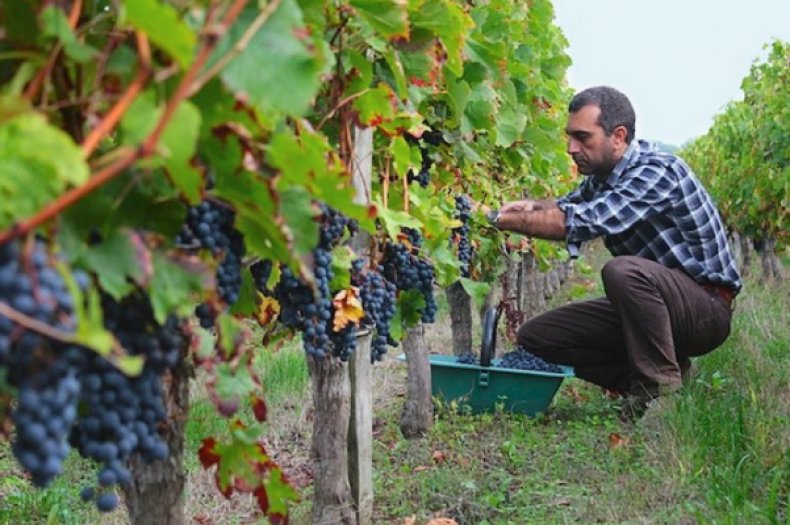 fcc3c0a6aba8989006e7f5843334ae91