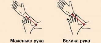 74fdf8d81b6045817c3bfb3a4ed9e239