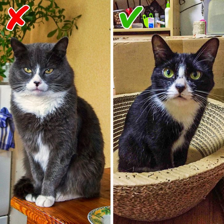 7a11d4ad3fe9cae9db8bfa088977f75f