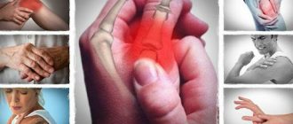 7f244854880d7efda8a56ef9dea32777