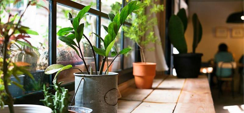 907d4015e68d40ea3565e76a7709add4