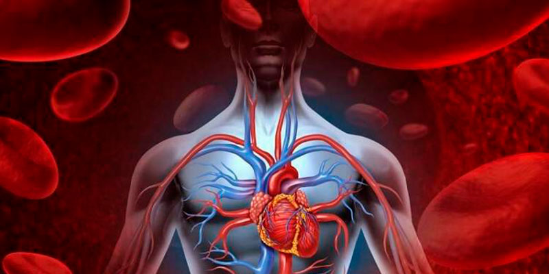 978ae23675b5780ae08aa3827d8aa85e