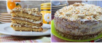 Смачний домашній Медовик